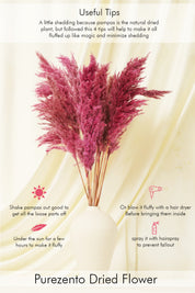 Fluffy Pampas - Pink