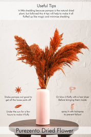 Fluffy Pampas - Orange