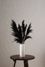 Fluffy Pampas - Black