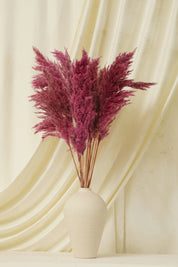 Fluffy Pampas - Pink