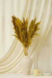 Fluffy Pampas - Yellow