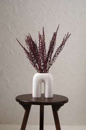 Palam Grass Dried Bunch - Red