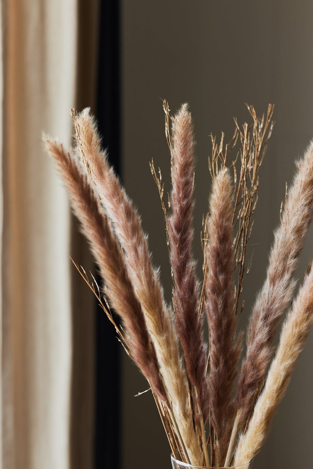 Foxtail Pampas - Natural