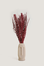 Palam Grass Dried Bunch - Red