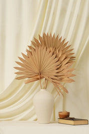 Sun Spear Dried Flower