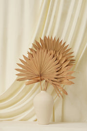 Sun Spear Dried Flower