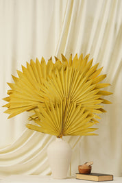 Sun Spear Dried Flower