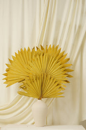 Sun Spear Dried Flower