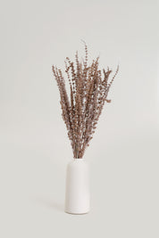 Palam Grass Dried Bunch -Natural