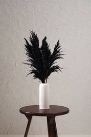 Fluffy Pampas - Black