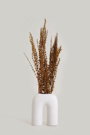 Palam Grass Dried Bunch -Yellow