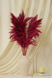 Fluffy Pampas - Red