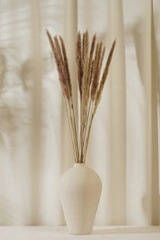 Foxtail Pampas - Natural