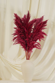 Fluffy Pampas - Red