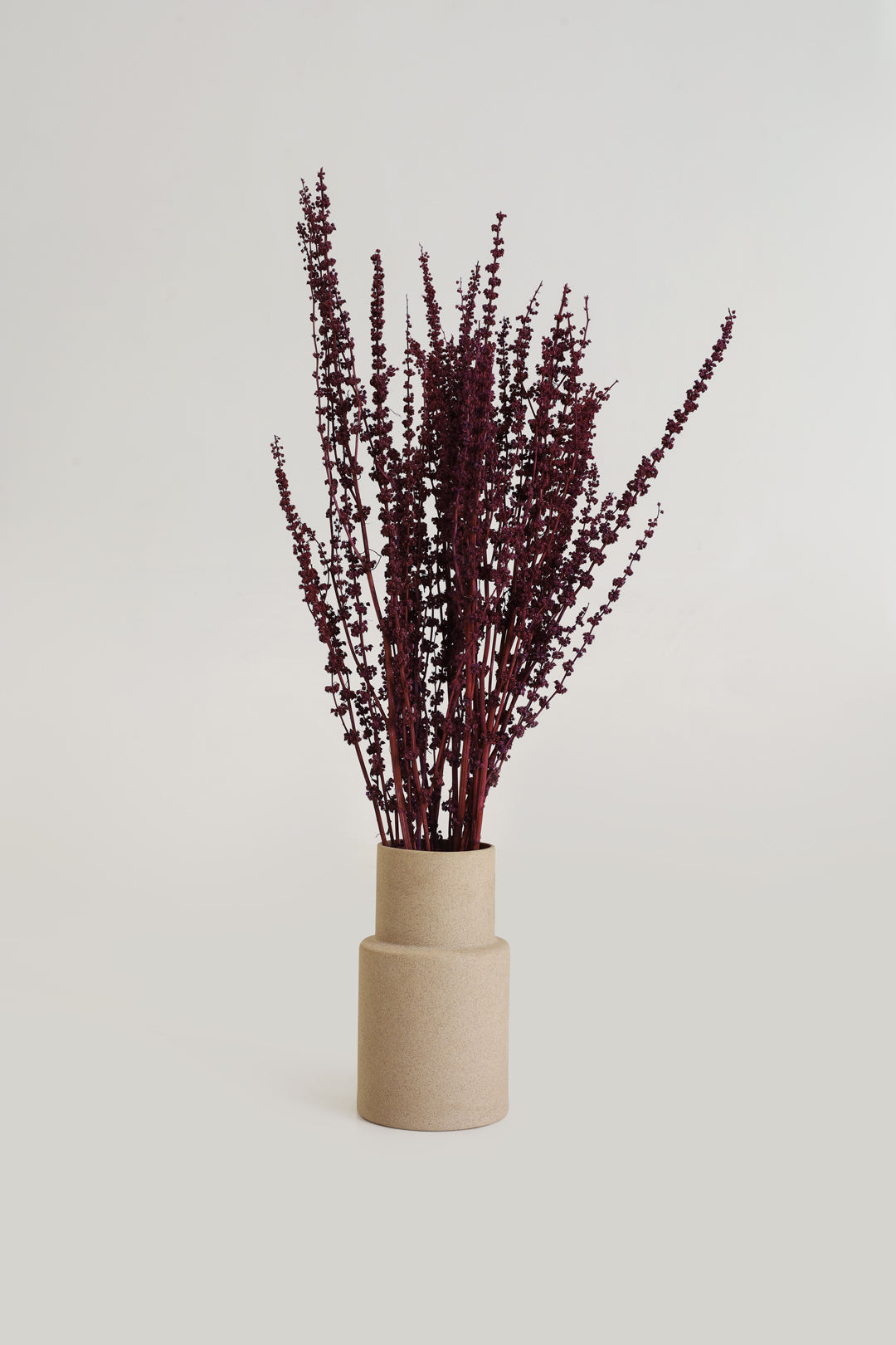 Palam Grass Dried Bunch - Red