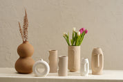 Desert Farmhouse Vase Set - White/Beige