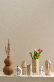 Desert Farmhouse Vase Set - White/Beige