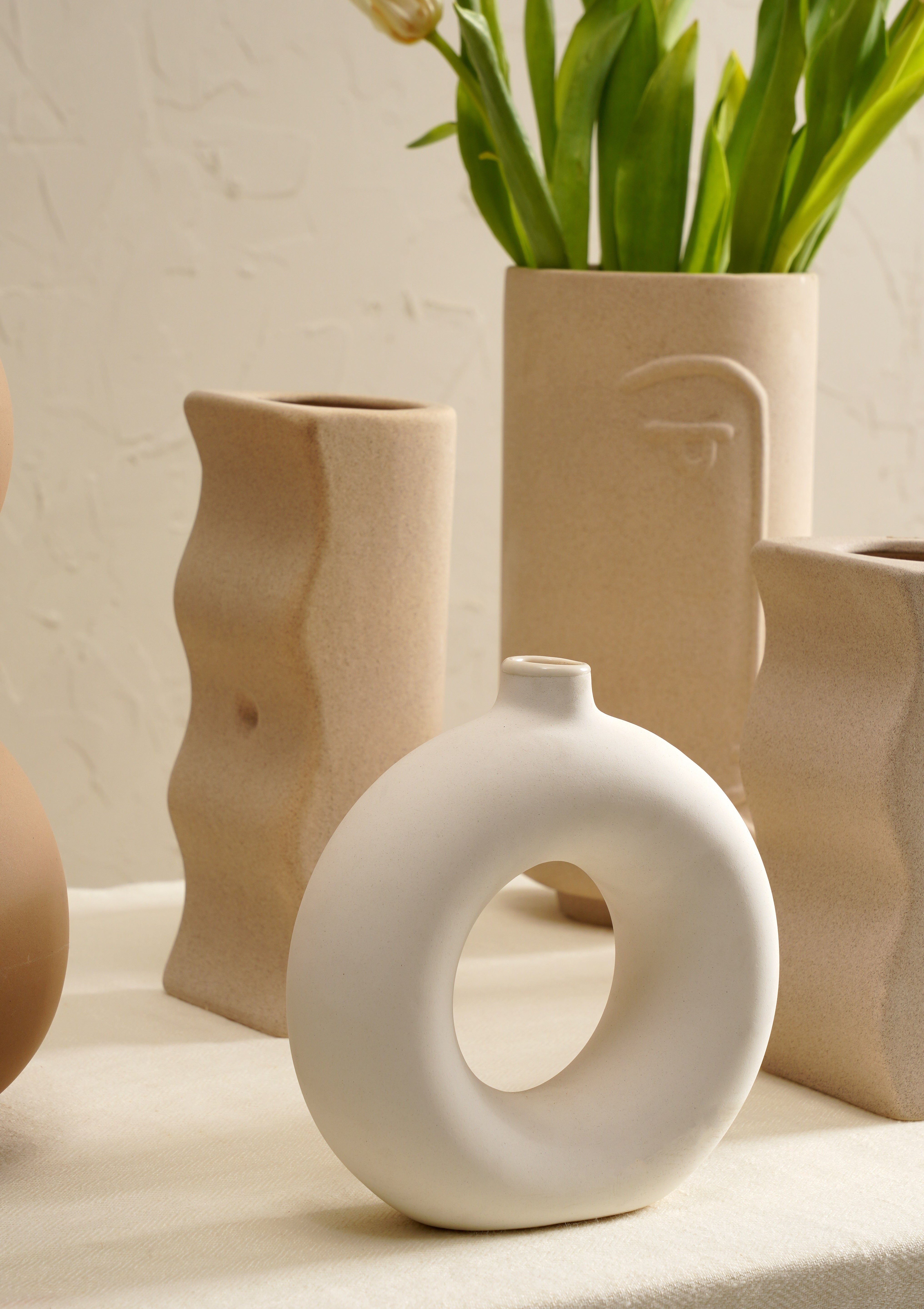 Desert Farmhouse Vase Set - White/Beige