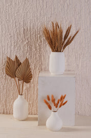 Ivory Vase Set - White