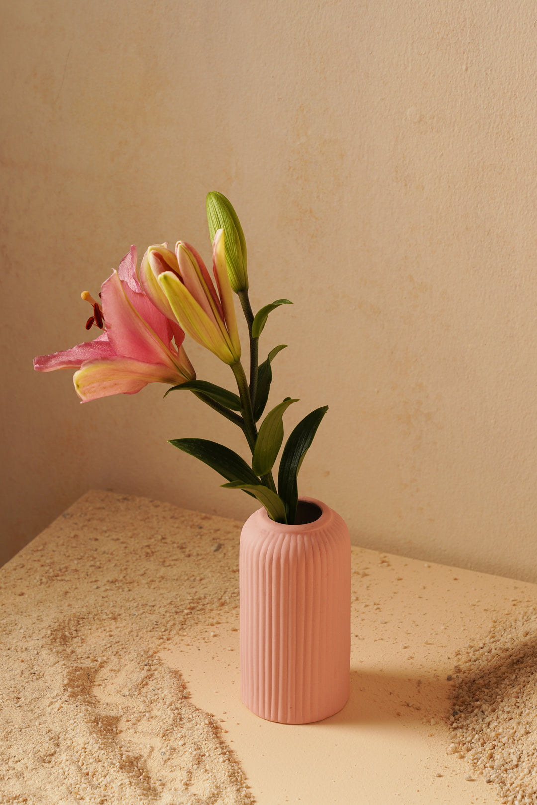 Ribbed Vase - Pink/White/Brown