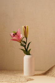 Ribbed Vase - Pink/White/Brown